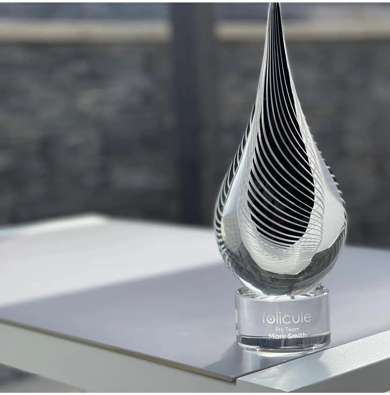 Close-up of an industry award trophy displayed indoors